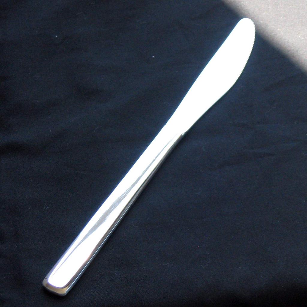 Nagao Slim Dinner Knife Set knives 1 extra Stainless Made in Japan (5 + knife), 21cm, Steel,