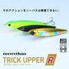 Daiwa Seabass Lure MT Trick Upper-R105F Chart Konoshiro Sand
