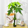 Новый продукт Искусственное дерево удачи Комнатные растения в горшках Украшение гостиной Зеленые растения Искусственные листья Садовый ландшафт