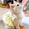 Милое платье для кошки с дизайном шлейки - Безрукавка из кораллового флиса, юбка, женские кошки, стиль INS, все