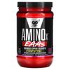 Aminox Eaas, Muscle Strength & Recovery, Watermelon Smash, 375G (13.2Oz)