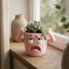 3D Printed Funny Face Succulent Planter Novelty Quirky Face Desktop Flower Pot  Gardening Gift