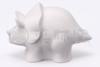 Chugai Touen Yakushi Kiln Dinosaur Drawing Triceratops Piggy Bank [1081]