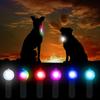 LED Flashlight Dog Necklace Waterproof Luminous Glowing Pendant USB LED Light Night Safety Walking Pet Collar Pet Accessories