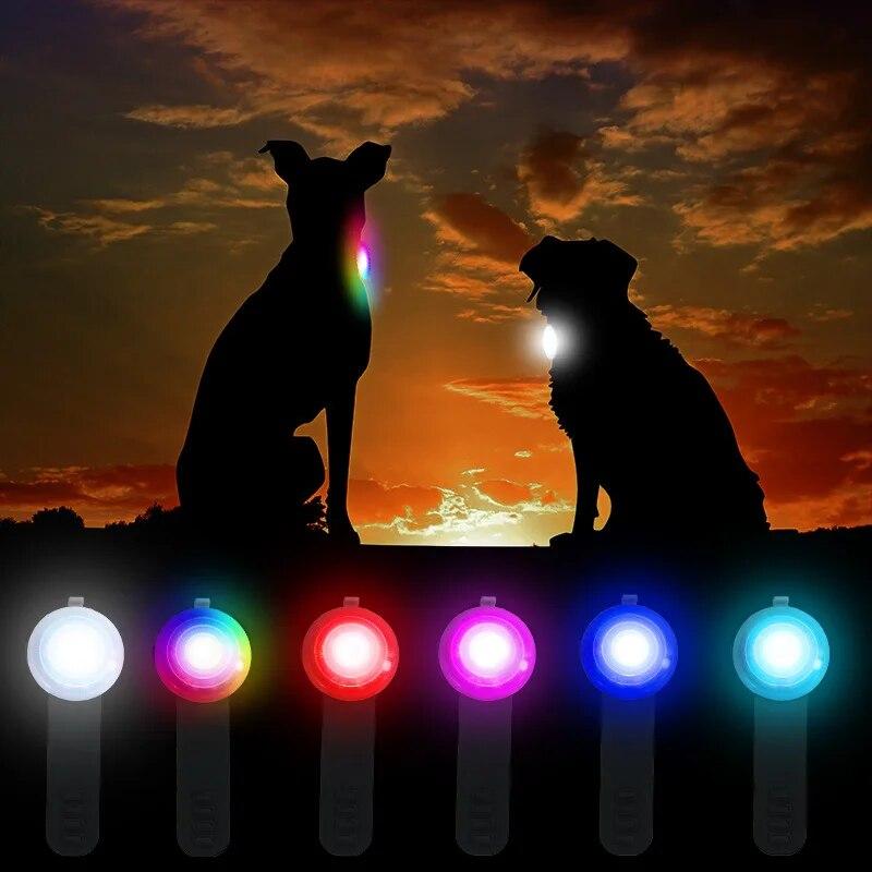 LED Flashlight Dog Necklace Waterproof Luminous Glowing Pendant USB LED Light Night Safety Walking Pet Collar Pet Accessories
