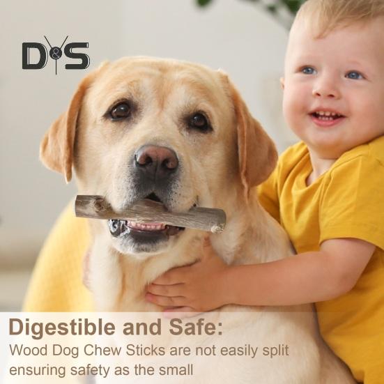 Wood Dog Chew Stick Natural Wooden Bones Dog Teeth Cleaning Toy Dental Health Care Stick Organic Pet Chews for Dogs
