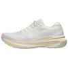 Мужские кроссовки Gel Kayano 30 White Off White 1011B548-103