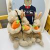 Год Кролика Маскот Мультяшный Обнимающий Морковь Кукла Кролик Маленький Белый Кролик Плюшевая Игрушка Кукла Подарок