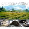 Oolong tea 1kg