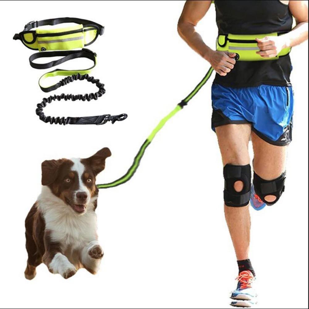 Sports Fanny Pack Dog Leash, Pet Running Leash, Dog Leash with Reflective Strip Outdoor Products