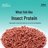 Fishing King Hellcat All-Season Bait Pellets