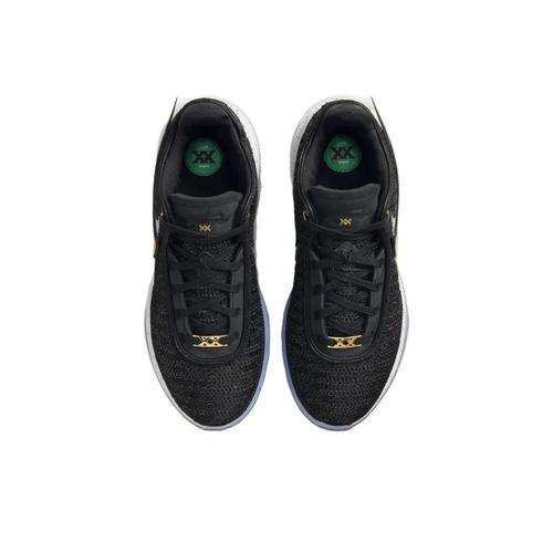 Nike LeBron 20 Fab 5 DJ5423-003