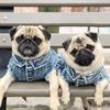 Pet Dog Jeans Jacket Denim Coat Hole Cat Puppy Bulldog Spring/Autumn Vest