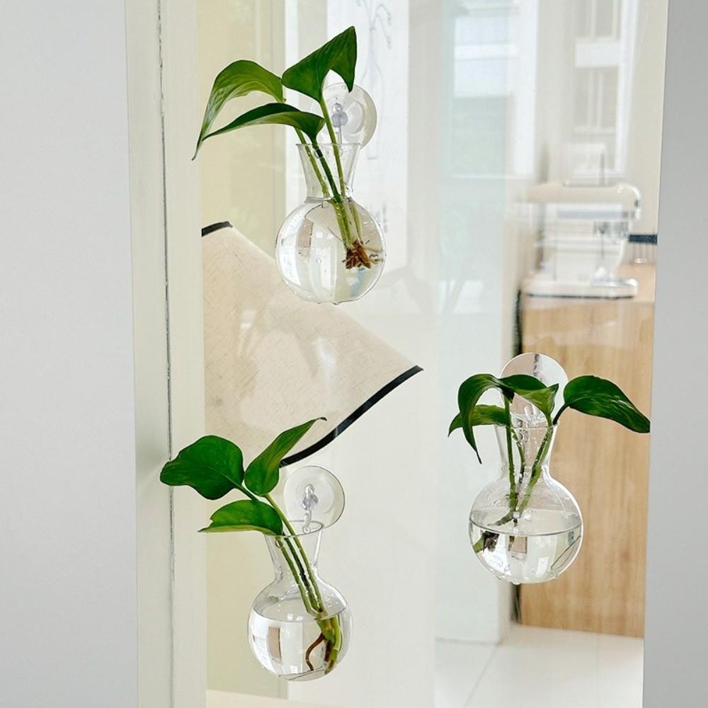 4pcs/set Self-Watering Plant Hydroponic Vase with Suction Cups Mini Flower Pot  Window