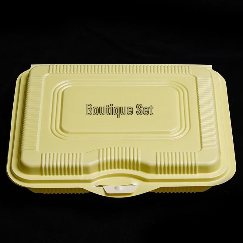 Disposable Four-Compartment Lunch Box
