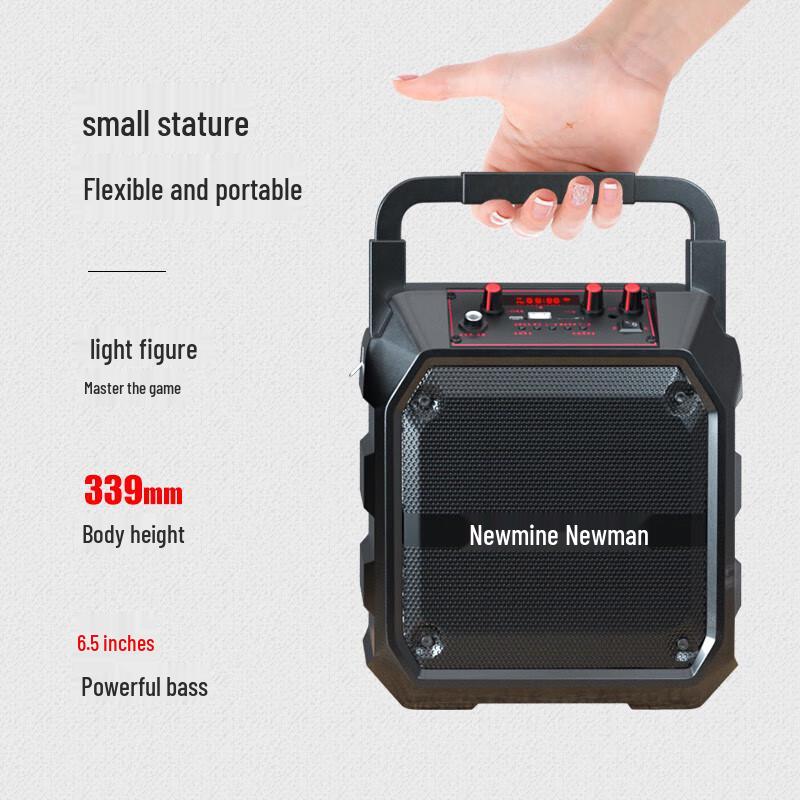 Newman K97 Portable KTV Bluetooth Speaker