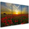 Картина из трех частей, печать на холсте, Поле Маков, Закат