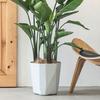 Plant Pot with Drainage Holes Decorative Planter with Matching Saucer Modern Flower Pot for Indoor Outdoor Use Pothos Aloe