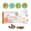 Kawaratake Mushroom New Life Dietary Supplement (Immunomodulator, Antitumor, Antiviral, Heart and Liver)