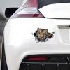 3D Tiger Car Sticker, Fun Waterproof Sticker for Cars, Trucks, Motorcycles, Walls, Windows, PVC Material