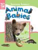 Книга Animal Babies : 1