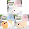 Pet Toy Hamster Rolling Ball Interactive Squeaky Toy For Cats And Kids