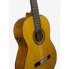 Yamaha Transacoustic Guitar Classical Guitar CG-TA