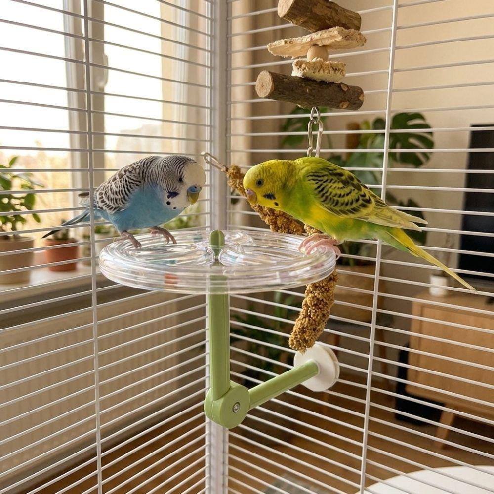360 Degree Rotation Parrot Rotating Windmill Perch Toy Parrot Standing Platform Parrot Enrichment