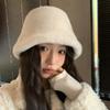 Korean Version of Autumn and Winter New Hat for Women Imitation Mink Hair Solid Color Versatile Fisherman Hat for Winter Warmth Simple Plush Hat
