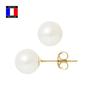 Compagnie Générale Des Perles - Genuine Cultured Pearl Earrings 8-8.5 Mm 18 Cts Gold Poussettes System - Women's Jewelry