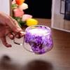 200ML Clear Glass Mug Double Wall Insulated Cup with Handle Aesthetic Dehydrated Flower Design