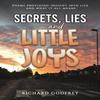 Secrets Lies and Little Joys by Richard Godfrey Paperback Book 9781035832392