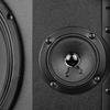 LINGSHENG Professional KTV Wall-Mounted Audio Speaker CN plug (adapter included)