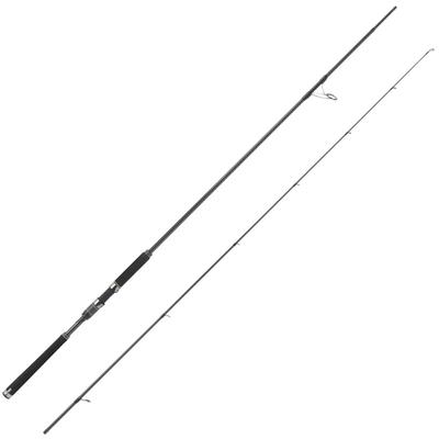 AbuGarcia Salty Stage Prototype Seabass SaltyStageProtoType Seabass XSBS-942MMH