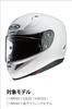 HJC HELMETS Pinlock & Tear-Off Shield, Light Smoke, for RPHA11 (HJ-26, HJP208)