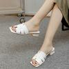 Summer 2025 New Fashion Banquet Party Thick Heels Women's Slippers Outdoor Casual Elegant Women's Sandals