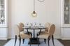 ELEGANT SPIDER HANGING LAMP GLASS SHADE
