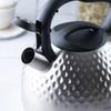 Steel kettle 3.0L KLAUSBERG KB-7642