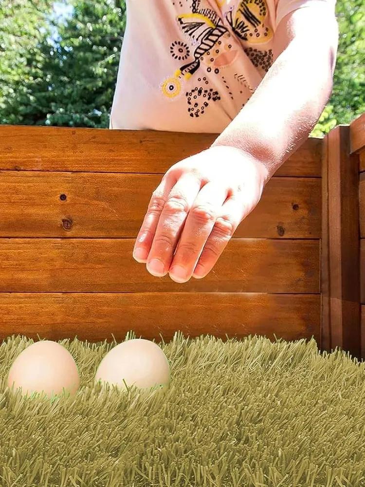 Chicken Coop & Poultry House Accessories