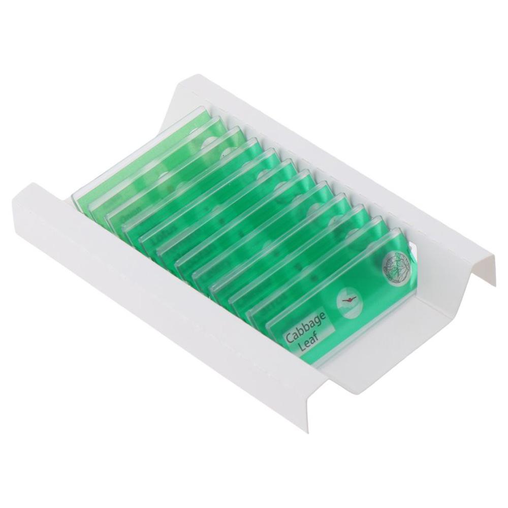 Животные Насекомые Растения Цветы Микроскоп Слайды Студенты Дети