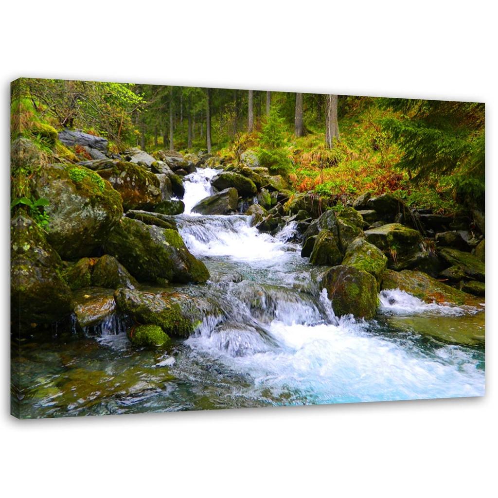 Canvas Print Waterfall Mountain Forest