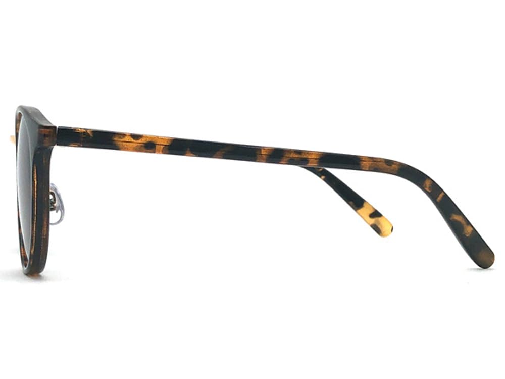 ЗОЛОТОЙ МОСТ BOSTON СОЛНЦЕЗАЩИТНЫЕ ОЧКИ Мост Бостон Черепаховый ДЫМЧАТЫЙ [SPEED ADDICT] (Золотые солнцезащитные очки) ×