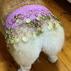 Dog Belly Dance Costume Corgi Dog Waist Chain Butt Curtain Clothes with