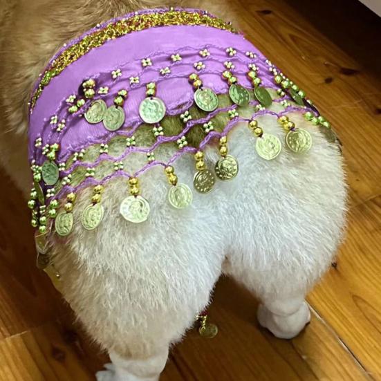 Dog Belly Dance Costume Corgi Dog Waist Chain Butt Curtain Clothes with