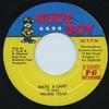 7-дюймовая пластинка КРУГЛАЯ ГОЛОВКА - Mate A Chat НИКАКОЙ Rude Boy Ямайка Регги, Ска и Даб Б/У