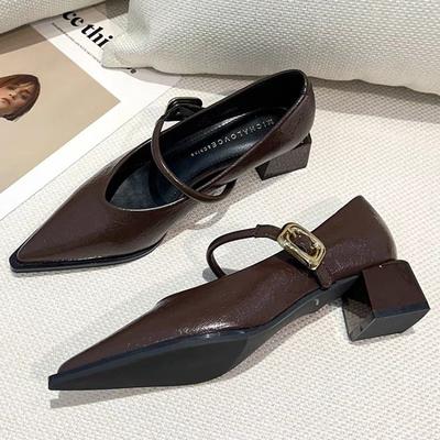 Мода Новый Весенний Стиль Острый Носок Квадратный Каблук Универсальный Стиль Одинарная Обувь Женская Обувь Средний Профессиональный Пряжка Платье Высокие Каблуки