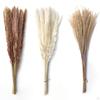 Букет из сушеных трав, букет из тростника Phragmites, поделки бохо для декора, подарок на день рождения