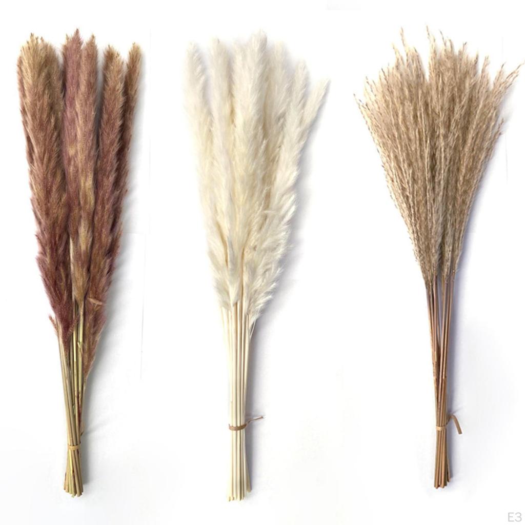 Букет из сушеных трав, букет из тростника Phragmites, поделки бохо для декора, подарок на день рождения