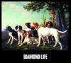CD OMNIBUS, AFTERLIFE, BRIGITTE, ISABE - Grand Gallery представляет DIAMOND LIFE GRCA0008 Япония Музыка Другое Б/У