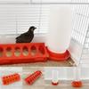 Thicken Poultry Feeder Large-Capacity Automatic Birds Waterer Feeding Bucket Container Chicken